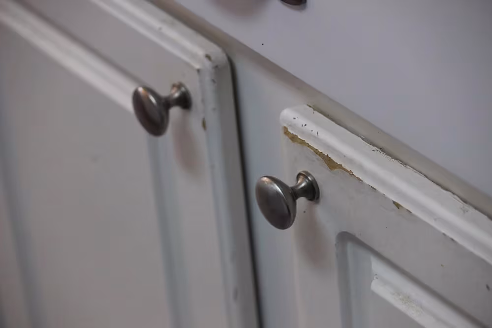 Peeling white paint around two round knobs on a cabinet door