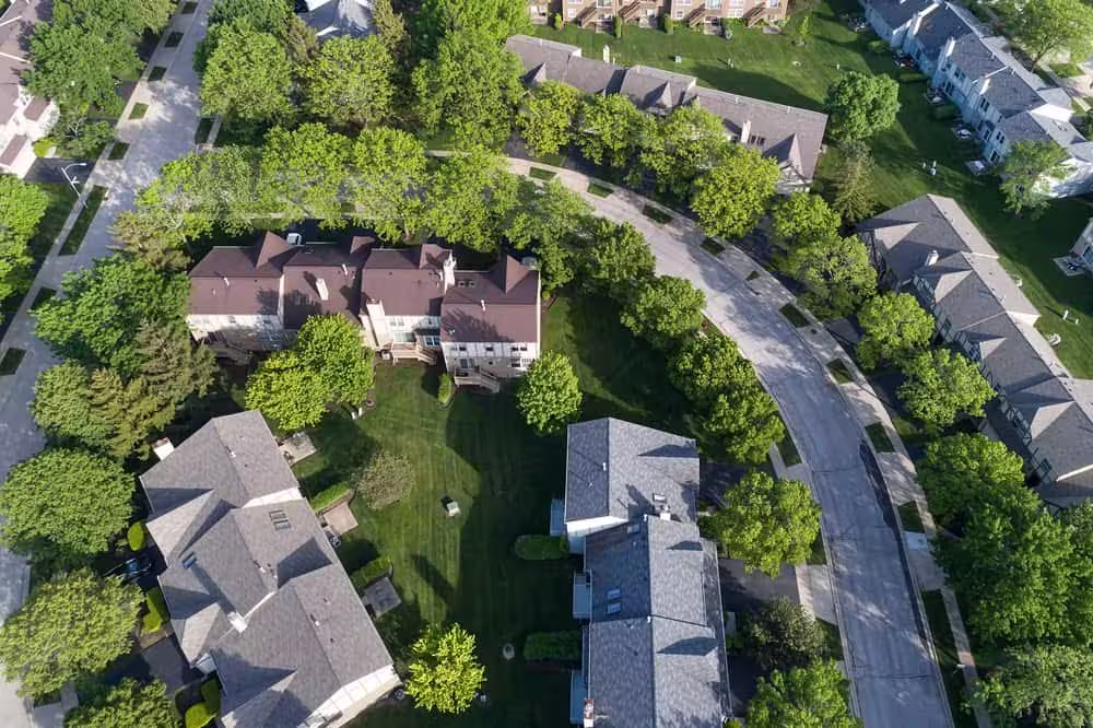 Aerial view of a wooded Elgin residential neighbourhood